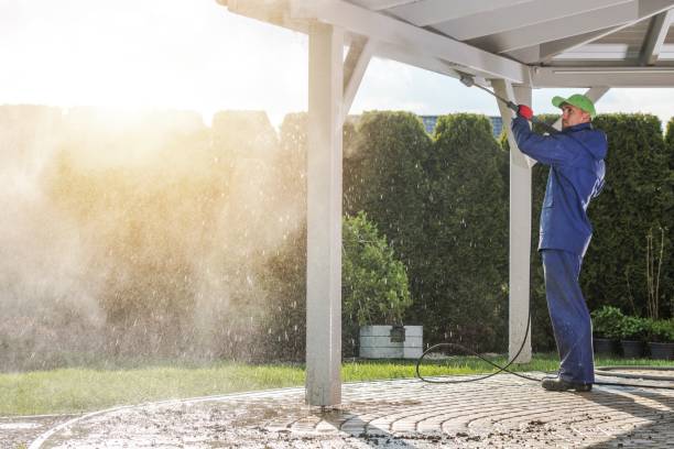 Best Solar Panel Cleaning  in USA